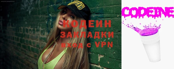 хмурый Алзамай