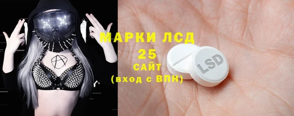хмурый Алзамай