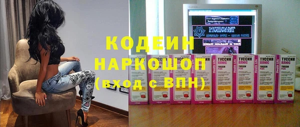 хмурый Алзамай