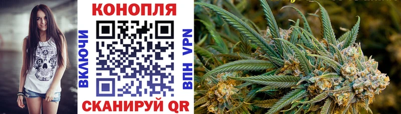 где можно купить наркотик Югорск Шишки марихуана сатива